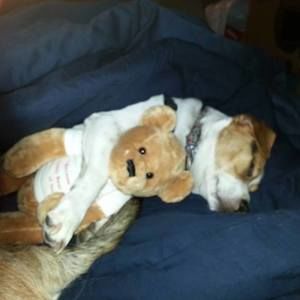 Meet your Posher, Arlene